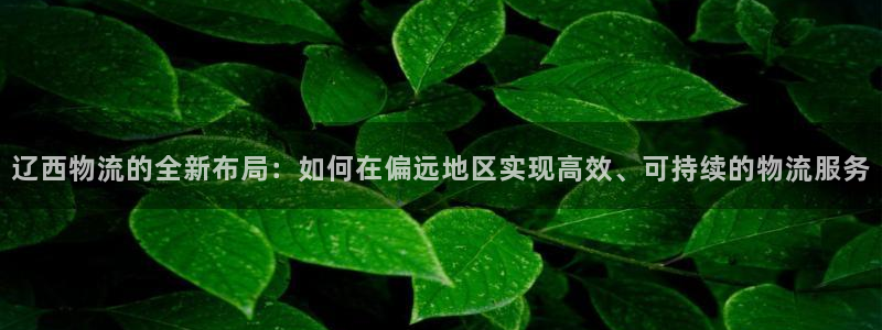 超凡国际网站平台是多少：辽西物流的全