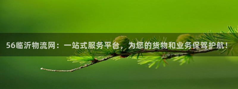 超凡国际下载二维码：56临沂物流网：