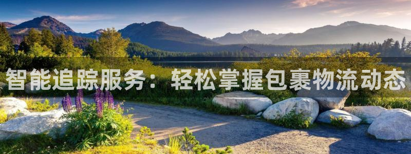超凡国际是正规软件吗：智能追踪服务：