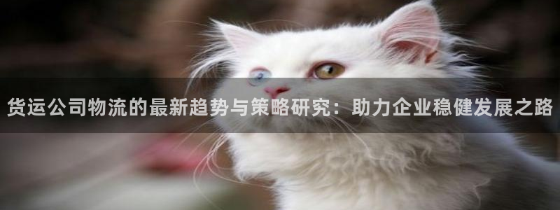 超凡国际官网下载多少钱一个：货运公司