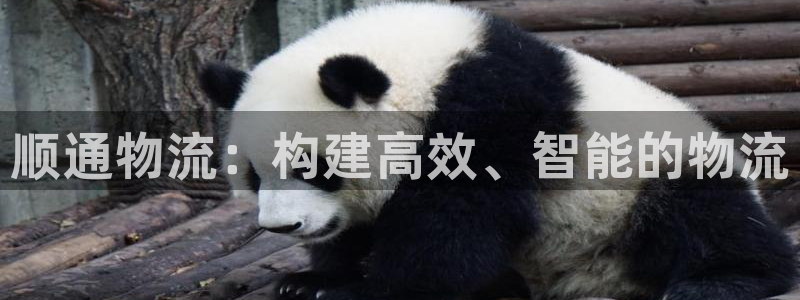 超凡国际加拿大是什么意思：顺通物流：