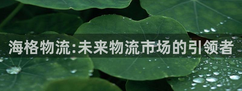 超凡国际注册用户名是什么：海格物流: