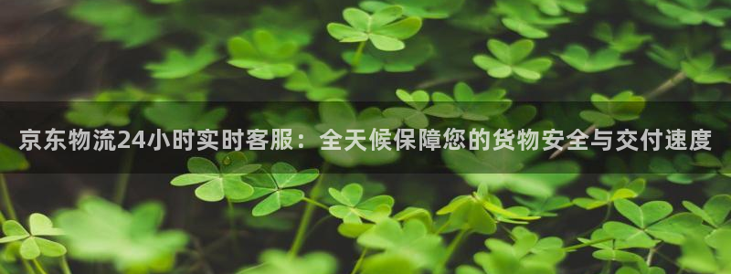 超凡国际预测网：京东物流24小时实时客服：全天候保障您的货物