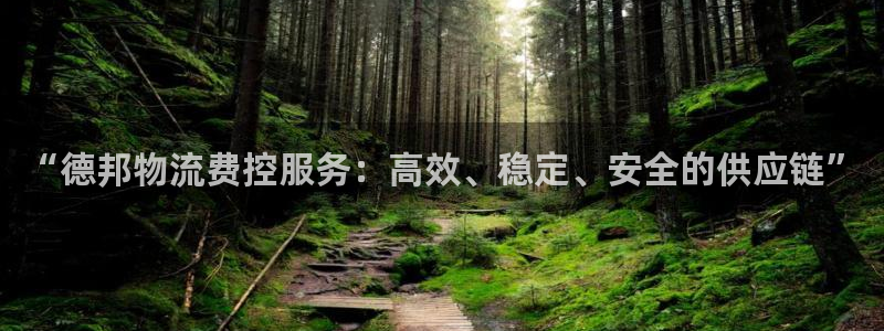 超凡国际链接是什么：“德邦物流费控服