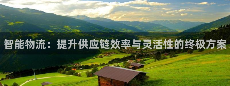 超凡国际登陆网：智能物流：提升供应链