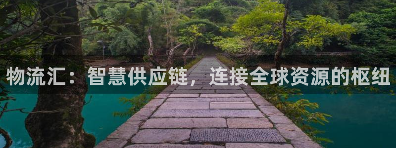 超凡国际充值不到账什么原因：物流汇：智慧供应链，连接全球资源