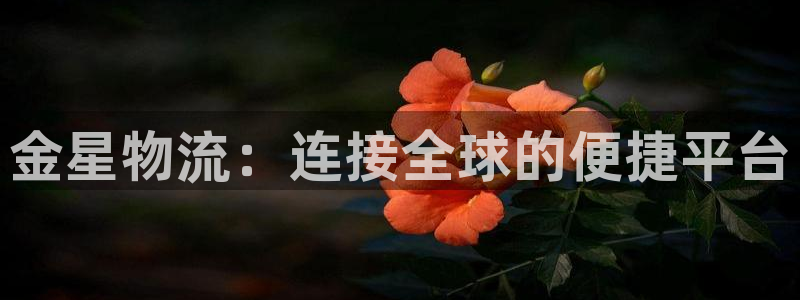 超凡国际软件堵什么反什么:金星物流: