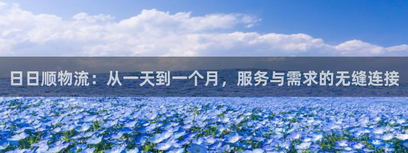 超凡国际起来的符号：日日顺物流：从一天到一个月，服务与需求的