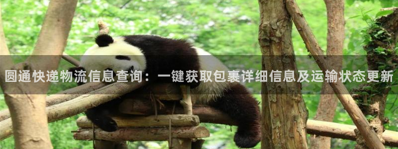 南宫超凡国际官网版