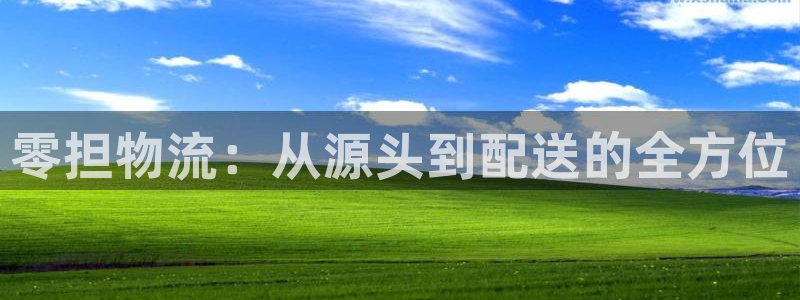 超凡国际官网版2024:零担物流:从