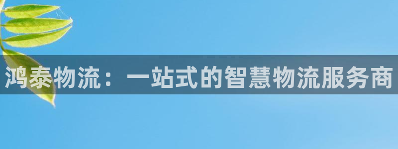 超凡国际软件是什么：鸿泰物流：一站式